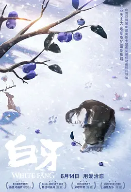 大陆国产精品视频